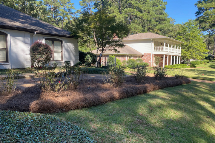 Lawn Care Photo