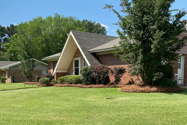 Lawn Care Photo