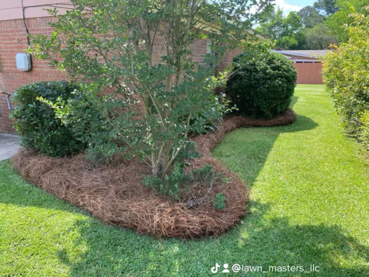Lawn Care Photo