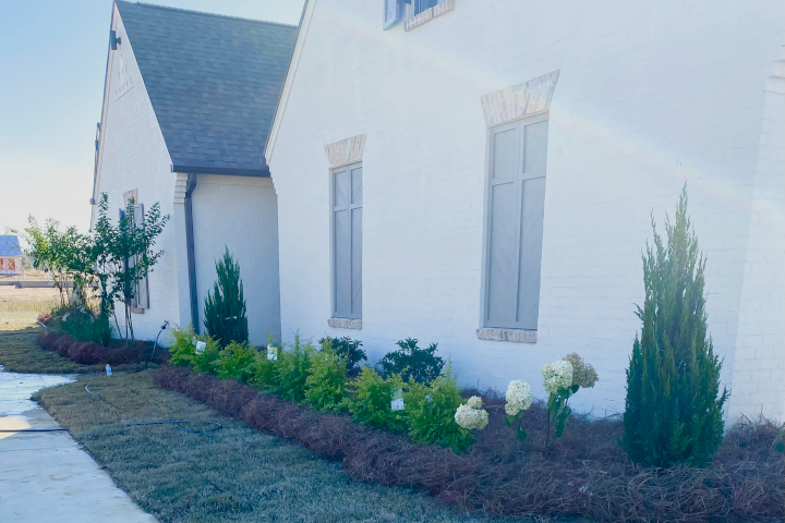 Lawn Care Photo